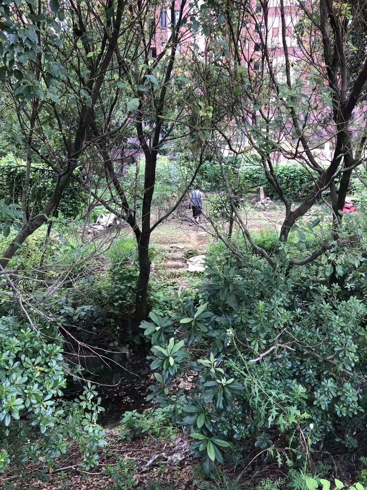 1632797274149589.jpg 黃智超攝1.jpg